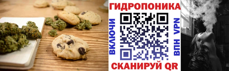 Canna-Cookies марихуана  Электрогорск 