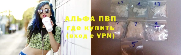 круглые Белокуриха