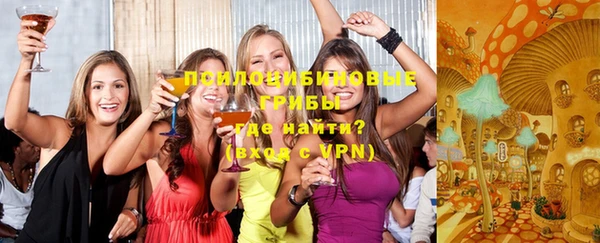 круглые Белокуриха