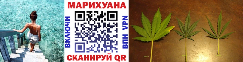 Бошки марихуана план  закладки  Электрогорск 